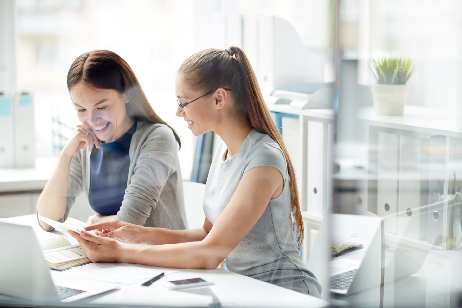 Schritte zur passenden Software